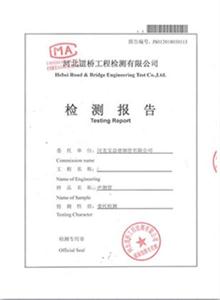 浙江公司检测报告